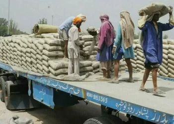 DG Khan Cement to build Pakistan’s largest single clinker production line, company says