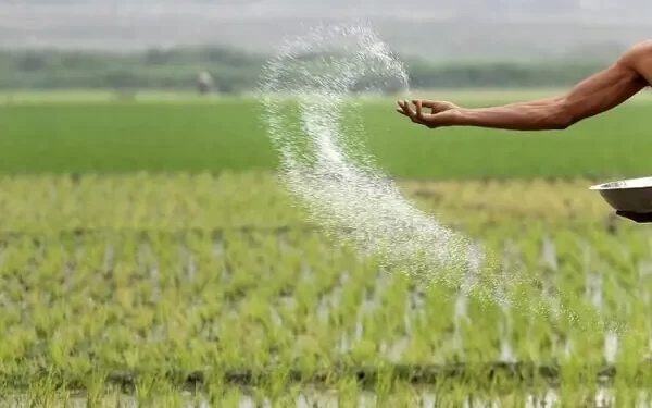 Fake and low-quality pesticides plague Punjab, Sindh, finds CCP report