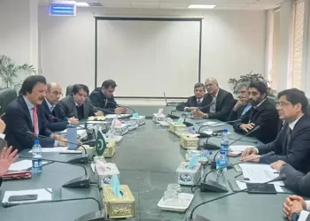 Govt moves to tighten rules on used car imports, vows protection for local auto industry