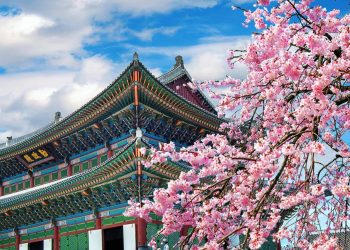 Huge Opportunity! Korean Govt Opens Fully Funded GKS 2026 scholarship opportunity for Pakistani students