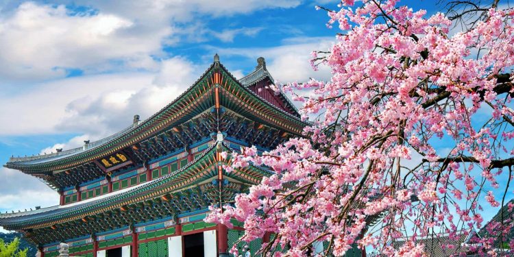 Huge Opportunity! Korean Govt Opens Fully Funded GKS 2026 scholarship opportunity for Pakistani students