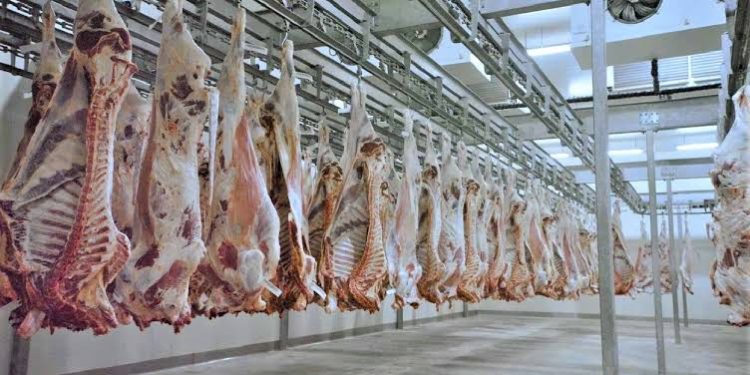 Huge! Pakistan Ready to Export Rs. 47 Billions Worth Meat to Malaysia