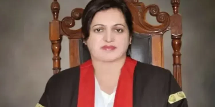 LHC CJ suspends operation of Punjab land protection ordinance