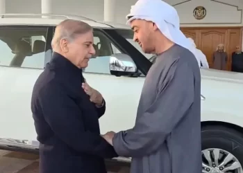 PM Shehbaz meets UAE president in Rahim Yar Khan, pledges to ‘elevate’ bilateral ties