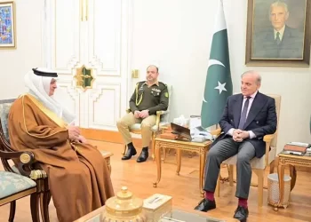 Prime Minister Shehbaz Sharif has a meeting with Saudi Ambassador Nawaf bin Saeed Ahmad Al-Malkiy at Prime Minister House in Islamabad on December 31. &mdash; Photo courtesy PMO