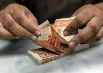 Pakistan govt raised record Rs2trn via Sukuk in 2025, says official