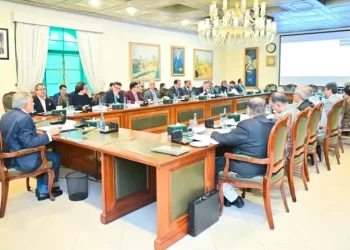 Privatisation body recommends cabinet to approve Rs135bn bid for 75% PIA shares