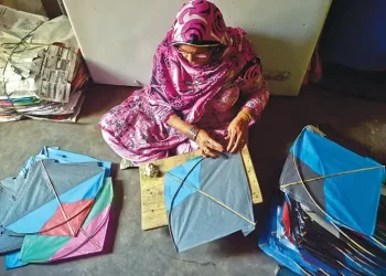 Punjab Assembly passes kite flying regulation bill