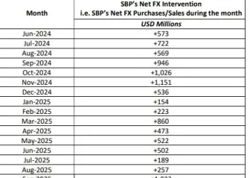 SBP buys $9.7bn from domestic FX market in 16 months