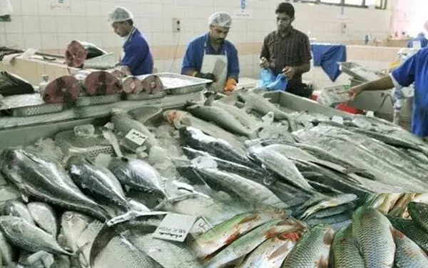Seafood exports to EU states unlikely to resume next year
