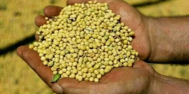 Soybeans set to snap seven-week rally on China demand worries