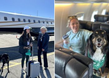 This 'Shark Tank'-backed airline lets big dogs fly in the cabin. Fares average $775.