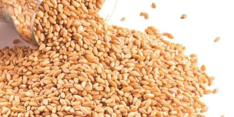 Wheat finds footing after ample supply triggers fund selloff