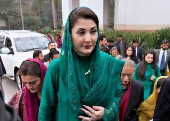 ‘Maryam Nawaz Works ven Faster than Türkiye’, Turkish Member of Parliament