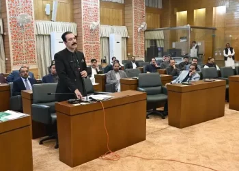 AJK govt has implemented all points of JAAC agreement within its jurisdiction: info minister