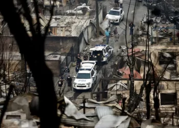 Chile wildfires kill 19 amid extreme heat; scores evacuated