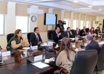 ECC clears over Rs15bn in supplementary grants for defence, IT, social and digital initiatives