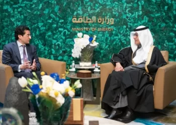 Govt simplifying regulatory environment, harmonising mineral sector framework: petroleum minister