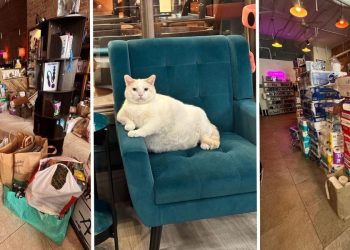 How ICE chaos and a boycott plan are turning Minnesota retailers into community spaces