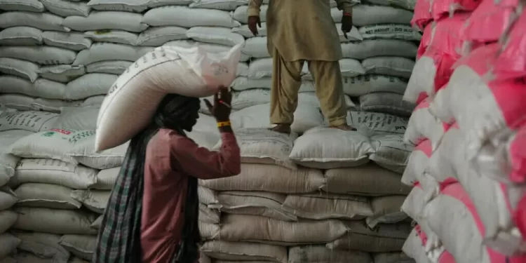 India’s 2025 rice exports surge to near record as curbs lifted