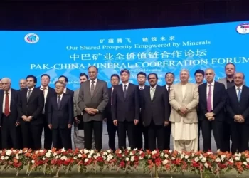 Mineral sector transformation cannot happen without strategic partners: planning minister