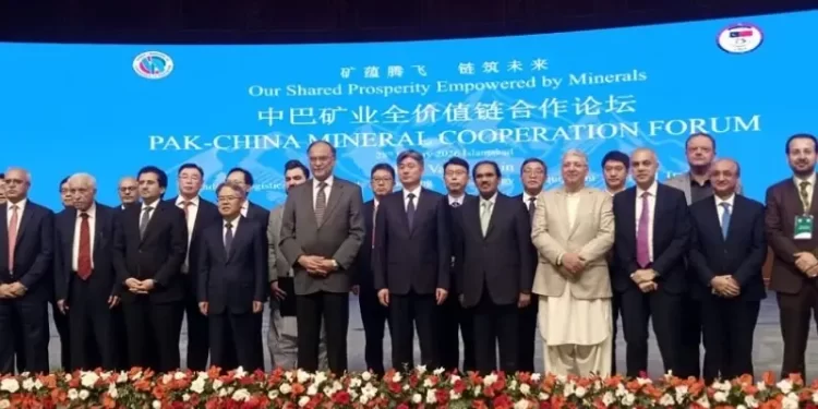 Mineral sector transformation cannot happen without strategic partners: planning minister