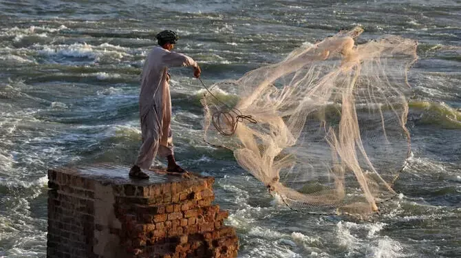 Minister admits power costs, shortages are undermining Pakistan’s fisheries exports