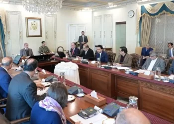 PM Shehbaz orders SBP to simplify loan process for SMEs, agricultural sector