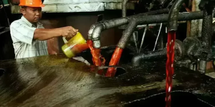 Palm oil starts 2026 on weak note as export data disappoints; production in focus