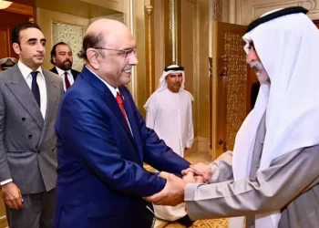 President Zardari, UAE counterpart discuss way to further deepen ties