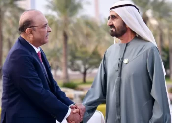 President Zardari, UAE vice president discuss economic, trade ties