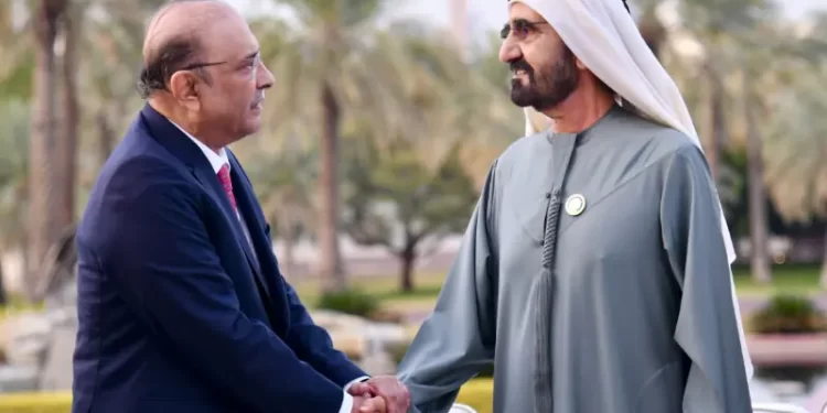 President Zardari, UAE vice president discuss economic, trade ties