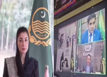 Punjab CM gives 30 days for installing fire hydrants in commercial, high-rise buildings across province