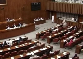 Senators for keeping tabs on social media usage by under-18s