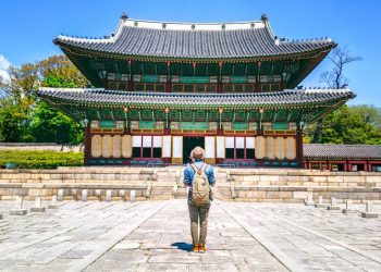 South Korea Announces Fully Funded Scholarships At Korea University For Pakistani Students