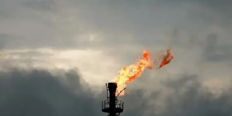 TAL JV discovers gas in KP’s Kohat