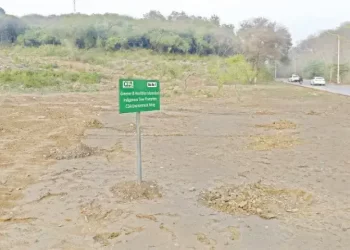 WWF-Pakistan says removal of trees in Islamabad also linked to infrastructure development