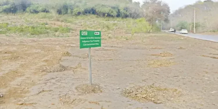 WWF-Pakistan says removal of trees in Islamabad also linked to infrastructure development