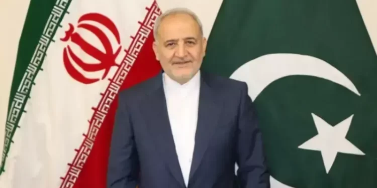 ‘Sanctions harm economic, cultural rights of Iranians’