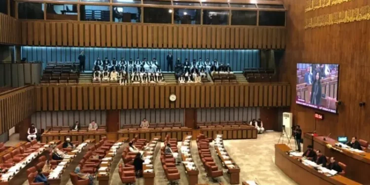 Outcry in Senate after Nepra notifies new regulations scrapping net-metering