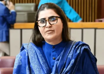 PPP criticises federal govt for dropping ‘petrol bomb’ on public close to Ramazan