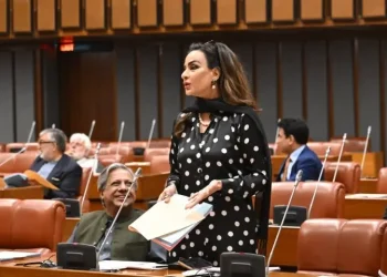 ‘Abandon this dangerous fantasy’: Senate echoes with PPP’s displeasure over remarks on creating Karachi province