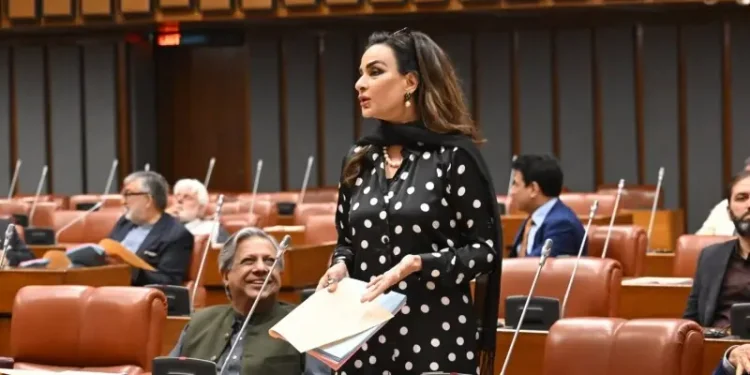 ‘Abandon this dangerous fantasy’: Senate echoes with PPP’s displeasure over remarks on creating Karachi province