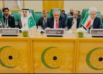 Israel’s ‘expansionist mindset’ bereft of any regard for international law, Dar tells OIC moot