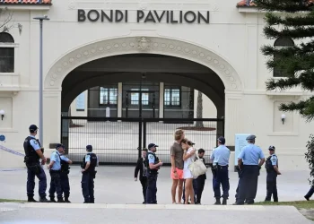 Alleged Bondi Beach gunman makes first court appearance