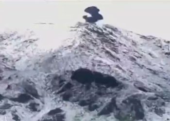 Forces repel ‘miscalculated’ attacks by Afghan Taliban