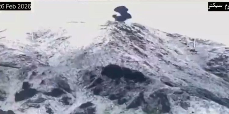 Forces repel ‘miscalculated’ attacks by Afghan Taliban