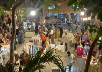 a one day family festival was held at habitt city in karachi on february 2 2026 photo author