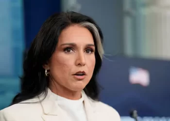 Gabbard rejects claims she withheld whistleblower complaint from Congress