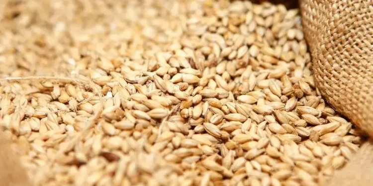 India allows export of 2.5 million metric tons of wheat